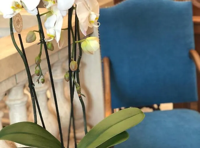 Grand D'espagne 루르드