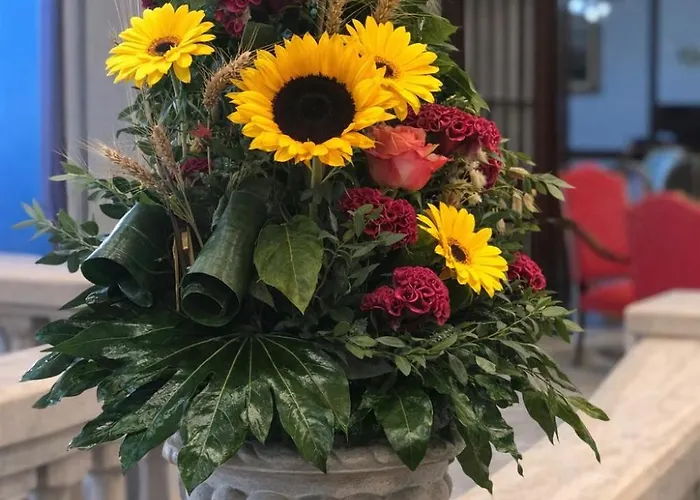 Grand D'espagne Hotel 4*