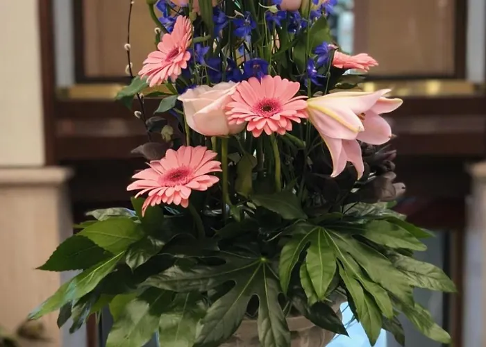 グラン オテル デスパーニュ 4*