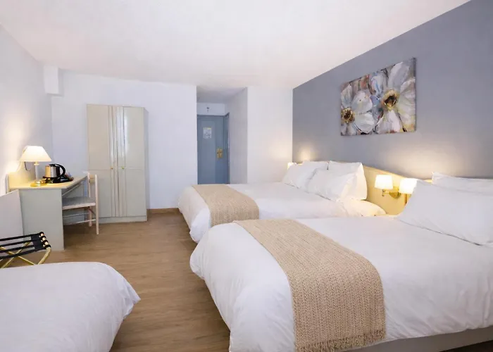 グラン オテル デスパーニュ 4* ルルド