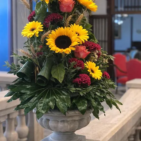 Grand D'espagne فندق 3*