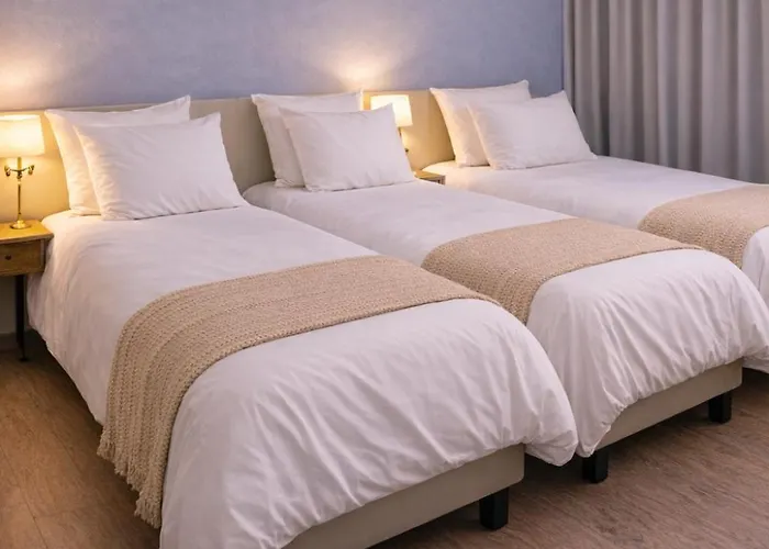 Hotel Grand D'espagne Lourdes